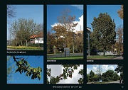 dreefbomen-serie-80_Pagina_69
