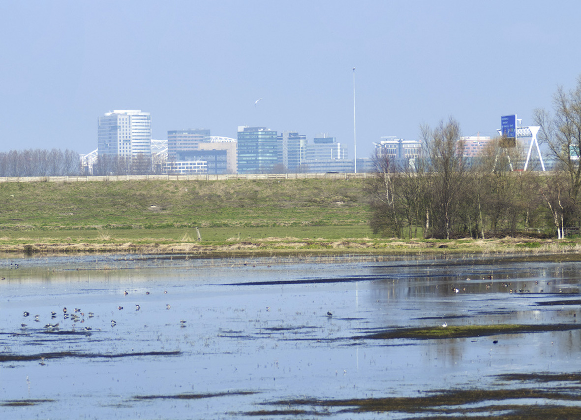 water in de duinen 2
